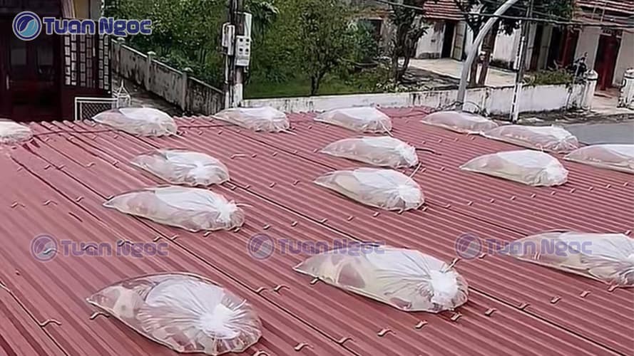 Nhiều bao nilon đựng nước chống tốc mái nhà khi bão đến