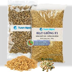 túi đựng hạt giống trong suốt có in logo